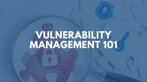 vulnerability-management