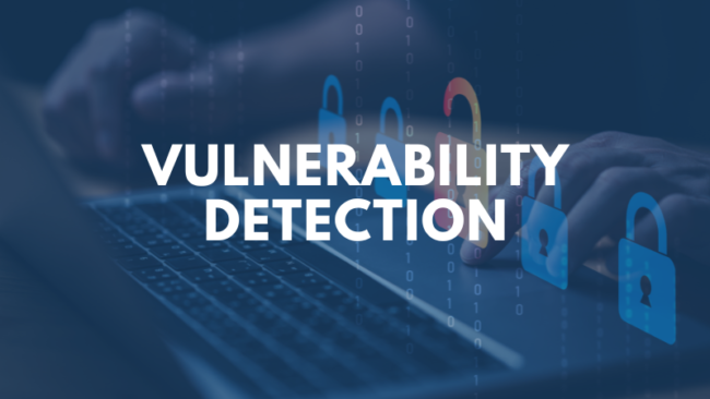 vulnerability-detection